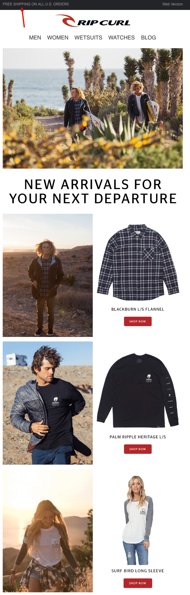 rip-curl-promotional-email-free-shipping