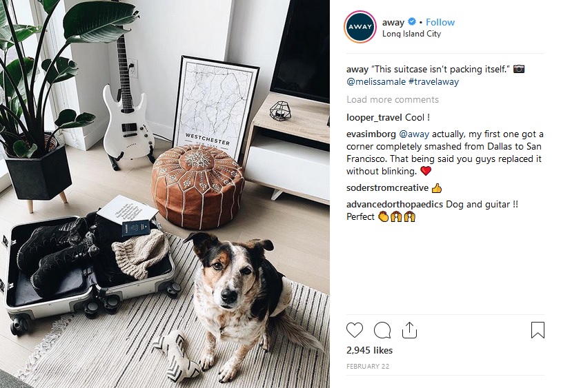 Travel brand, Away, has an Instagram post with luggage and dog. This is an example of social media brand awareness campaigns. Use this to learn how to build brand awareness.