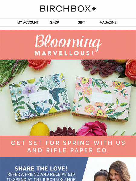 Birchbox Email Campaign Monitor Customer Birchbox Email