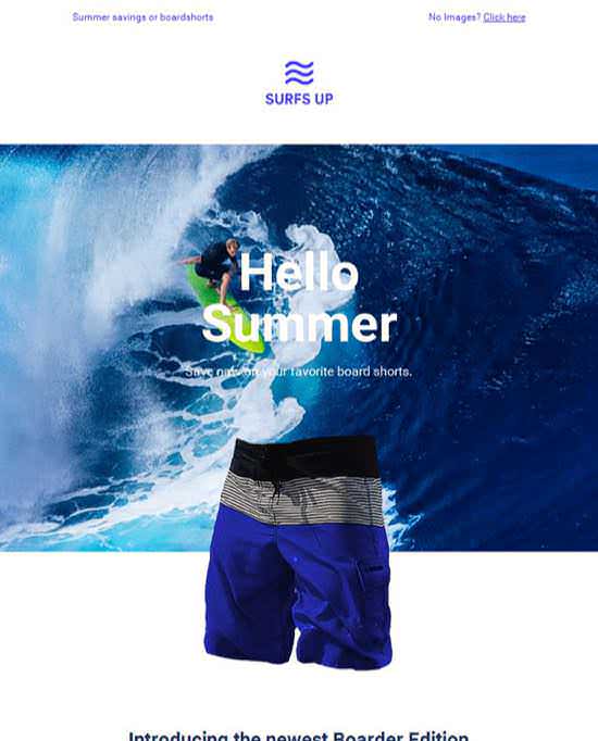 Hello Summer Announcements Email Template