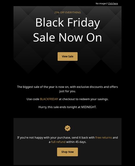 Black Friday Sale Holiday Email Template