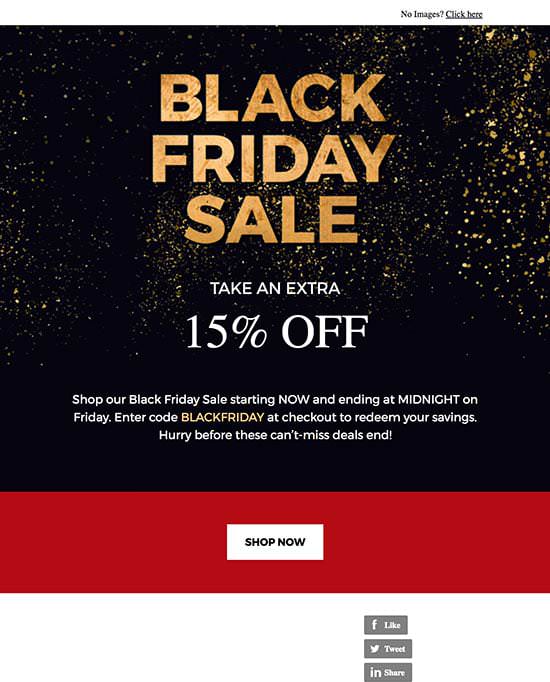 Black Friday Holiday Email Template