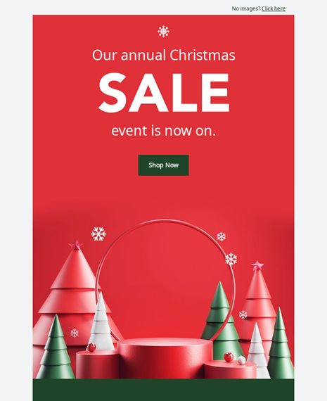 Christmas Offer Holiday Email Template