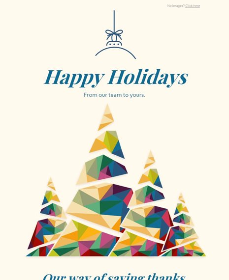 Holiday Card Holiday Email Template