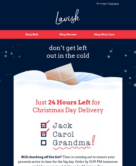 Last Chance Delivery Holiday Email Template