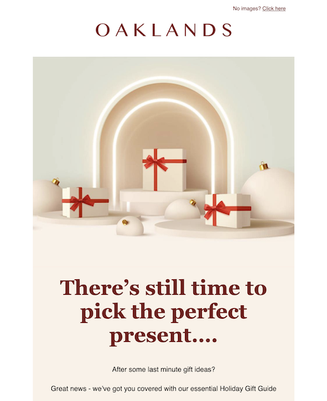 Holiday Retail Last Minute Gift Holiday Email Template
