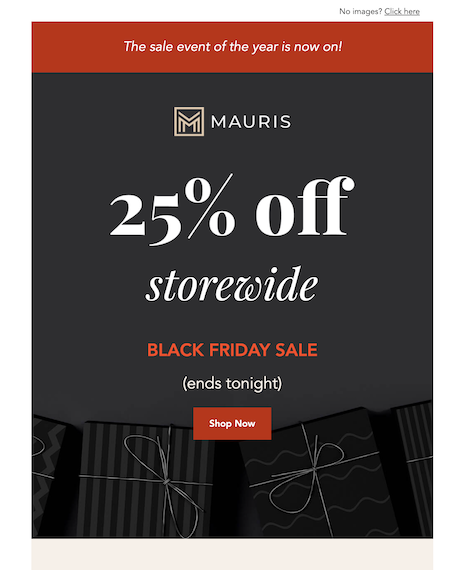 Sale Event Holiday Email Template