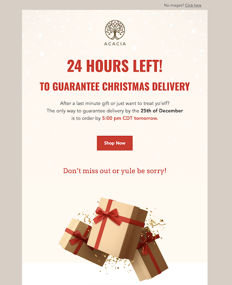 Holidays - Retail - Guarantee Delivery Holiday Email Template