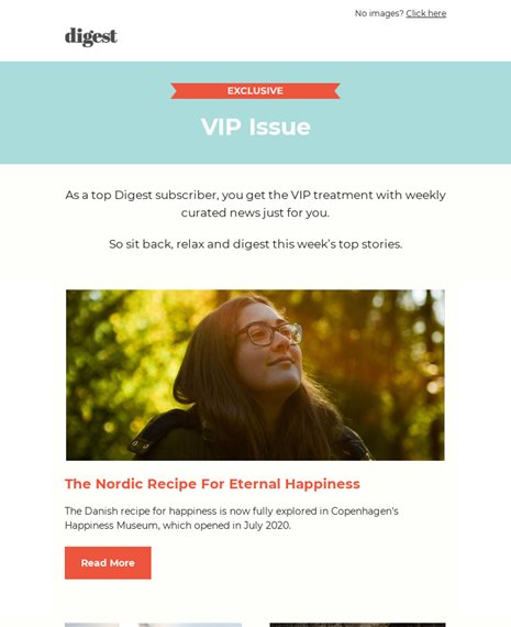 VIP Subscriber News Newsletters Email Template