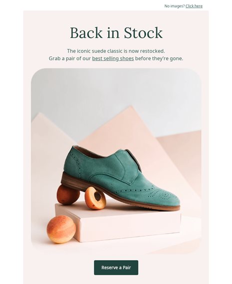 Deals Retail - Back In Stock Deals-offers Email Template