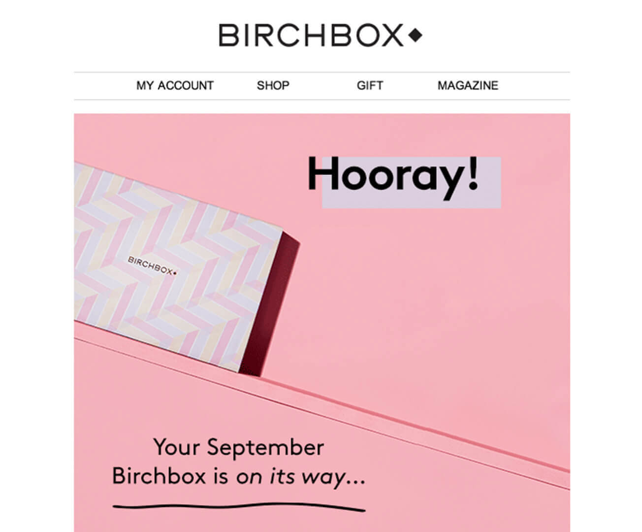 Birchbox - Email Marketing Campaign Example