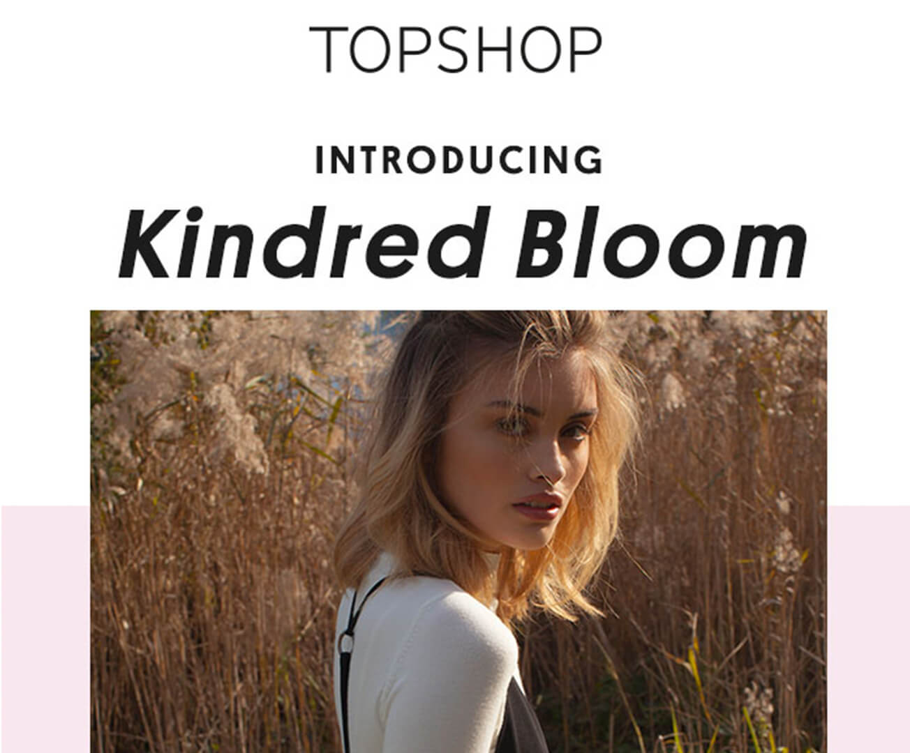 Top Shop - Email Marketing Campaign Example