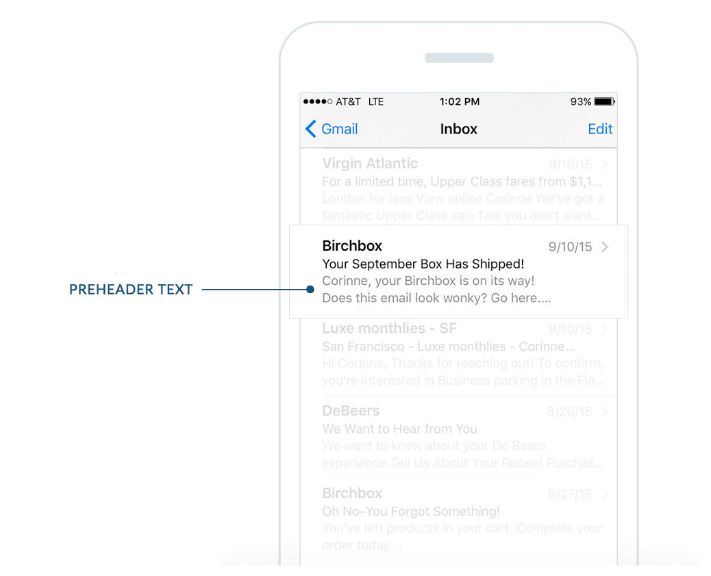 Birchbox – Email Design – Preheader Text