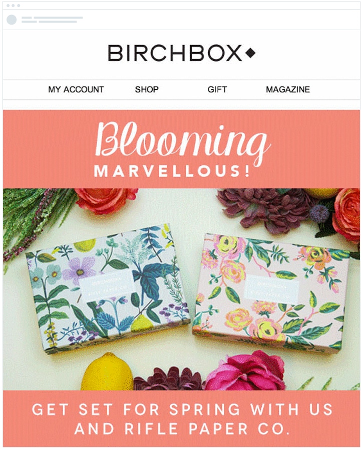 birchbox ecommerce email