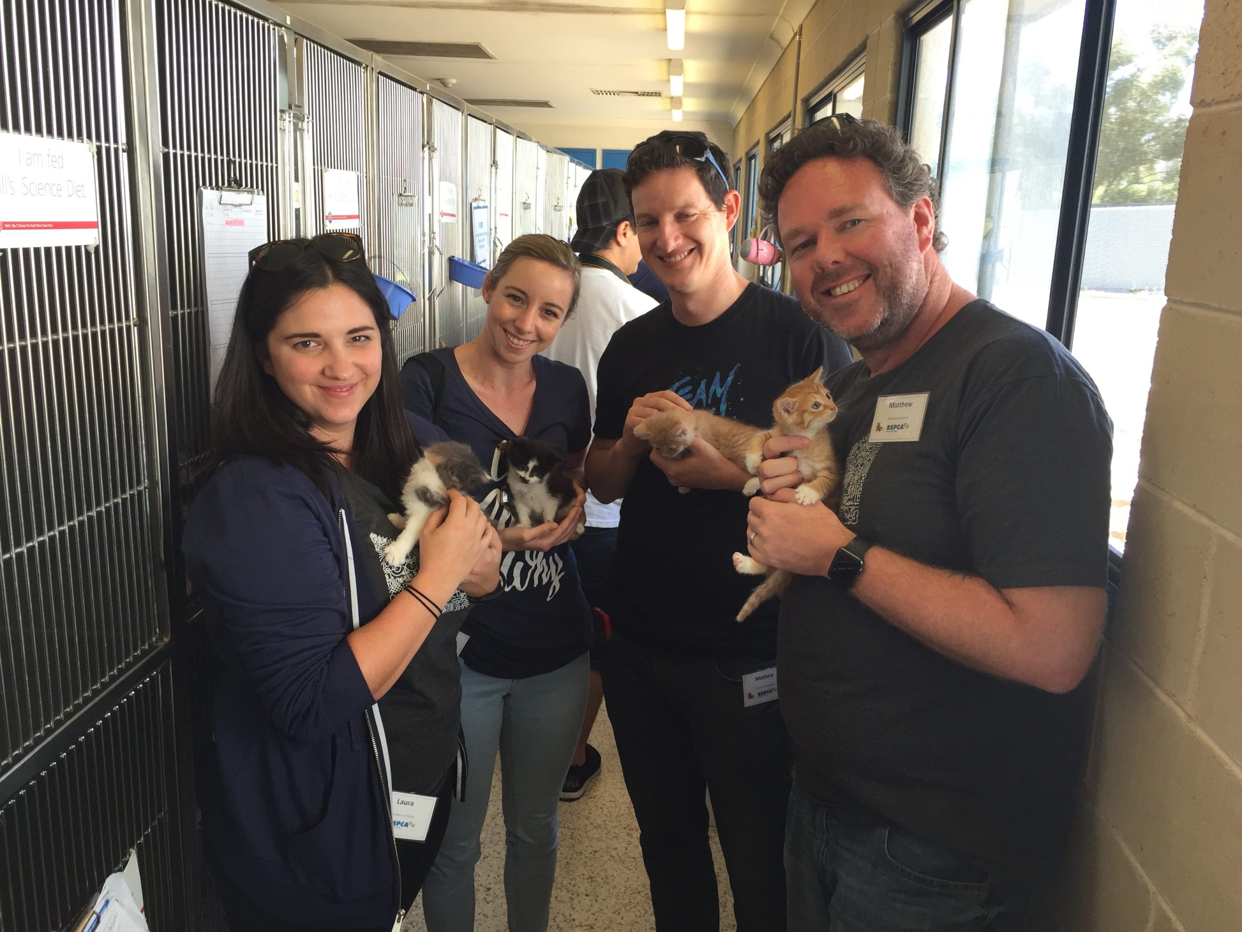 Campaign Monitor – Team Members Volunteering at SPCA