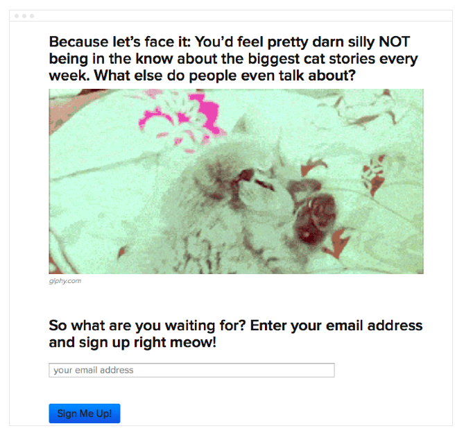 BuzzFeed Newsletter signup