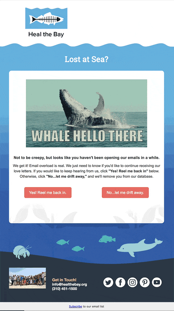 email example of a re-engagement campaign with a whale pun and two options to either stay engaged or unsubscribe