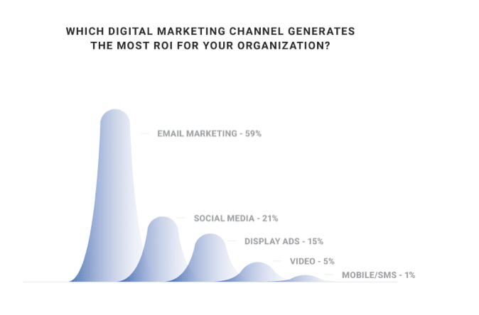 which digital marketing channel generates the most ROI? [graph]