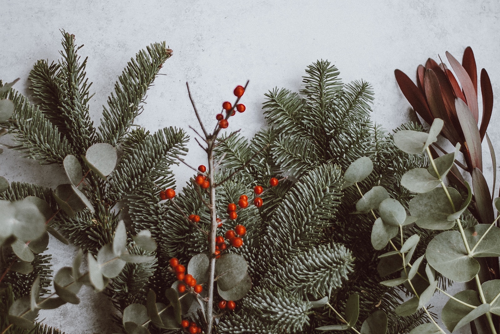 5 Fresh Holiday Email Ideas to Drive Conversions