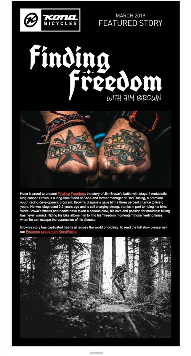 finding freedom fyi email template: fyi email examples and templates