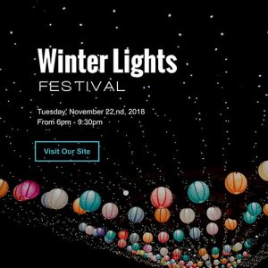 Winter Lights Promotional Landing Page Design