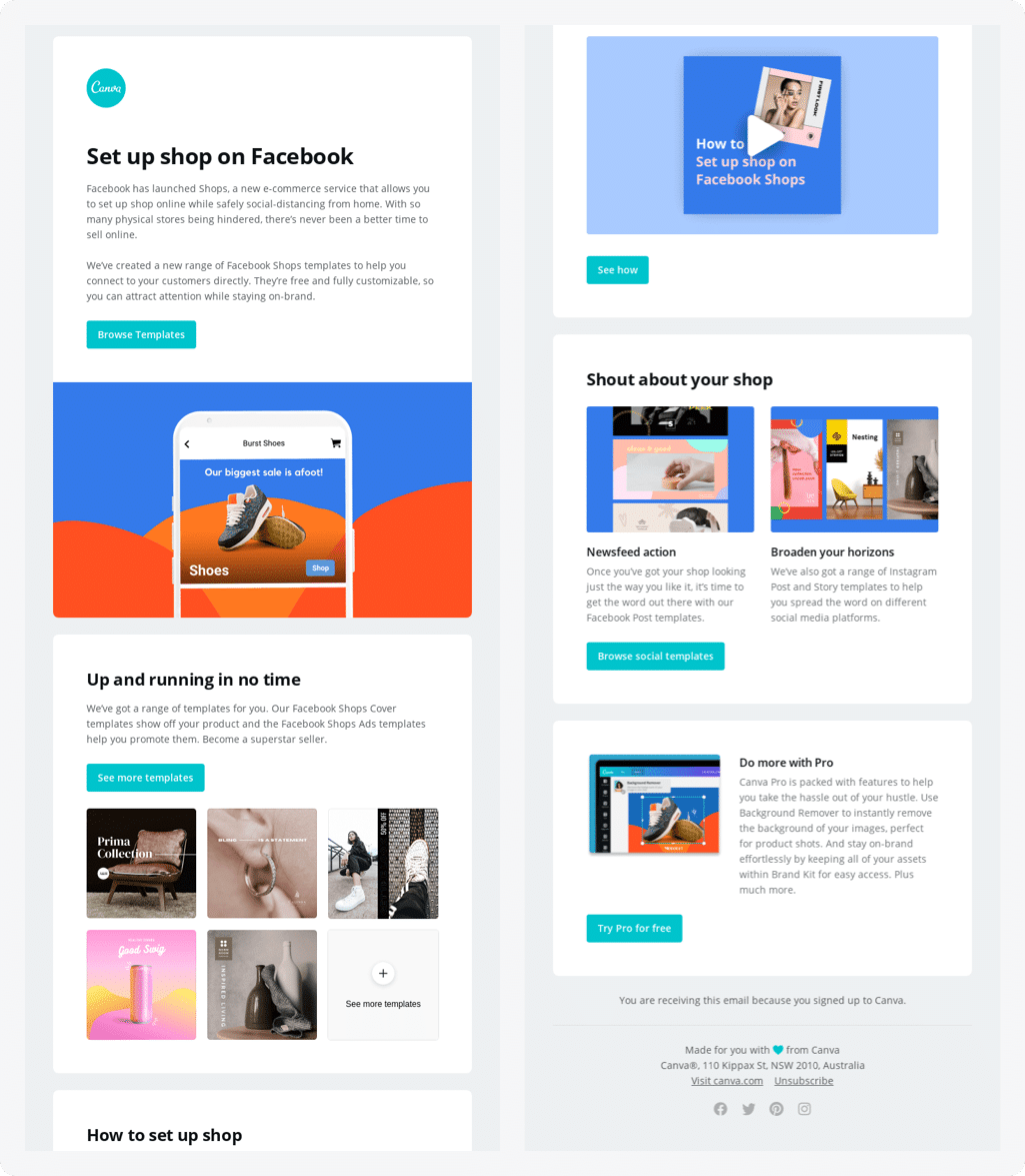 Newsletter example from Canva.
