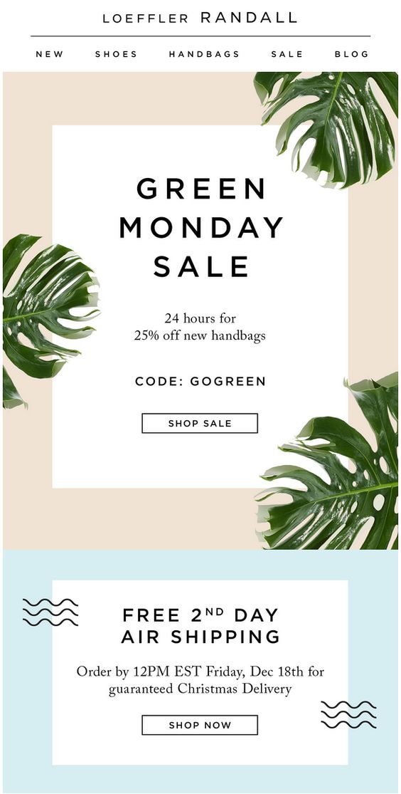 Loeffler Randall only included a few words in this email and used delicate graphics to push attention to the copy.