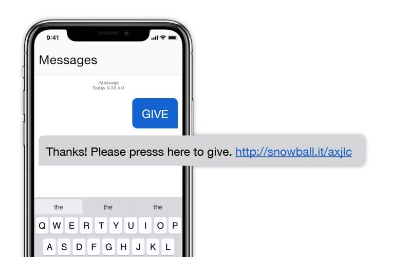 Snowball Fundraising is compatible with email, text, and landing pages