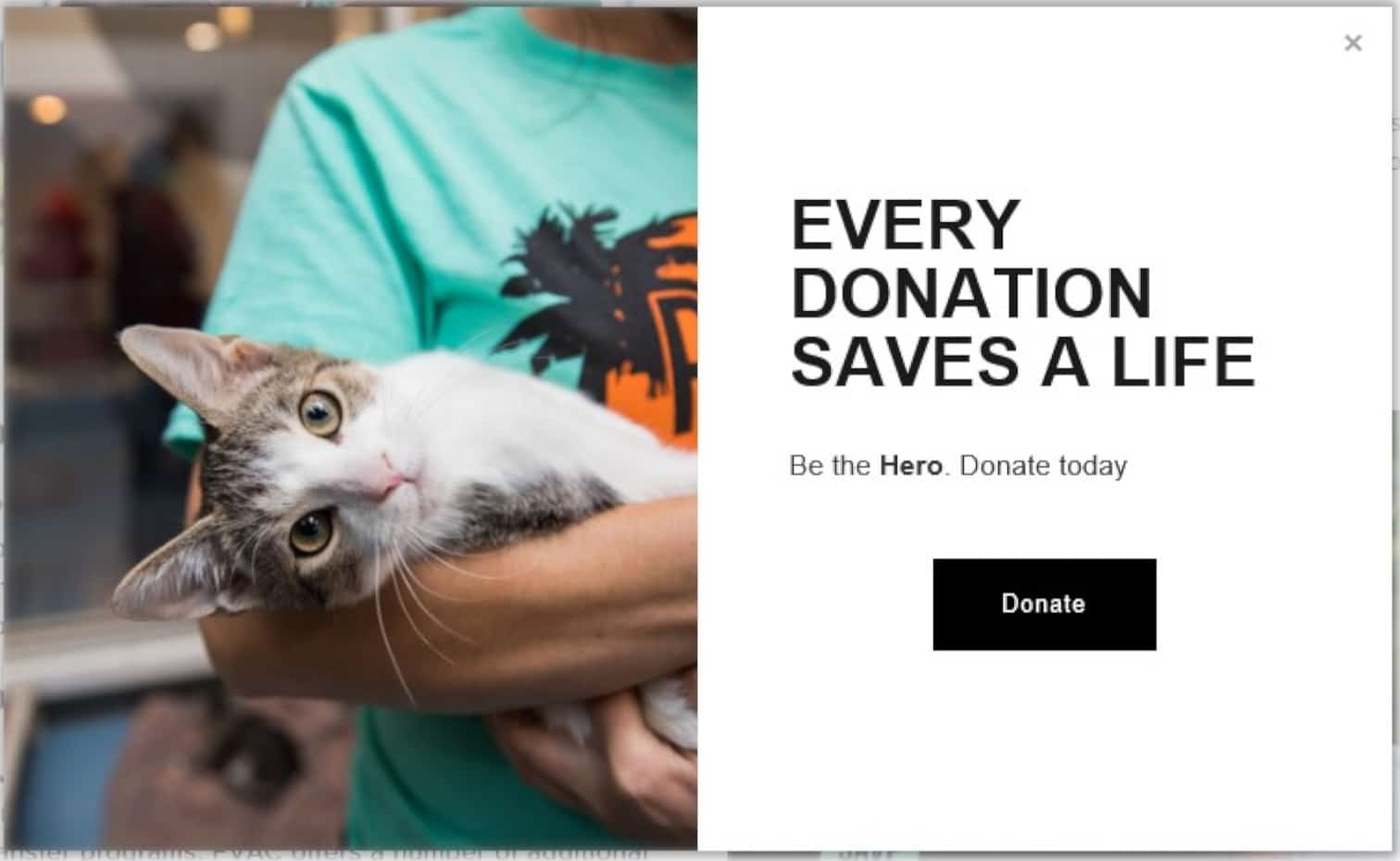 The Palm Valley Animal Center uses an exit intent pop-up to request donations to their organization. They include an image that should appeal to the reader’s emotions as well.