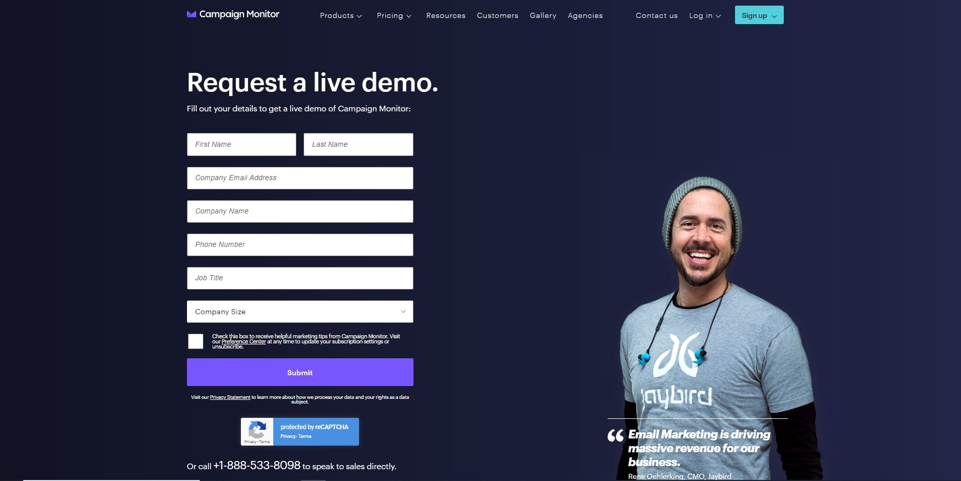 Campaign Landing Page Examples Campaign Landing Page Examples