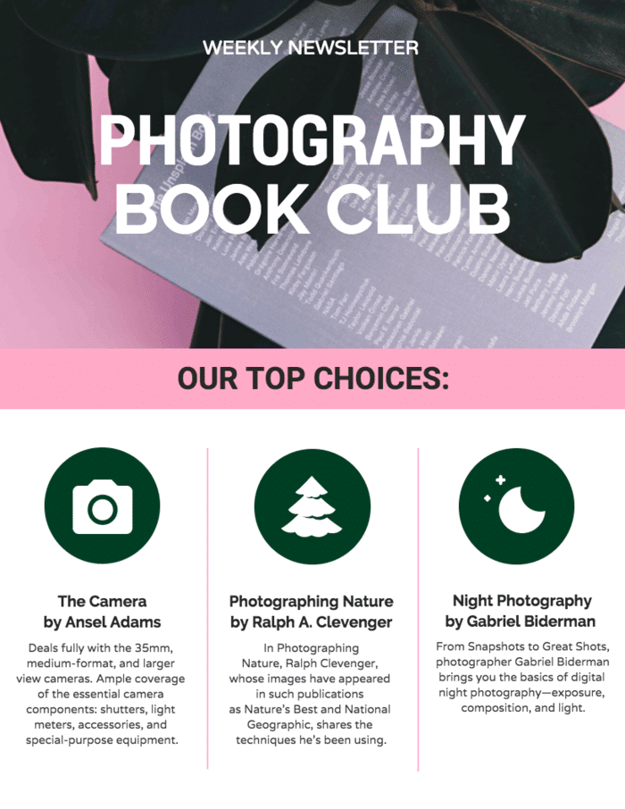 This photography book club newsletter has relevant email visuals