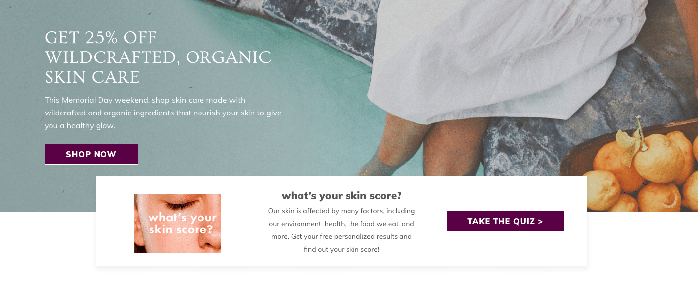 Screenshot of skin score quiz on Annmarie Gianni home page. 