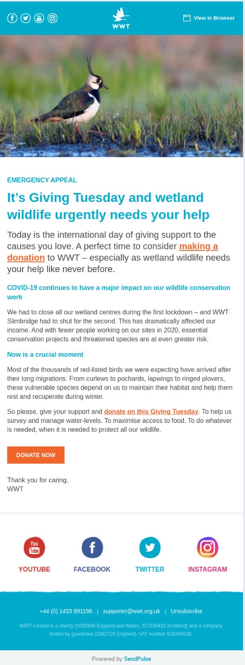 wwt nonprofit email design