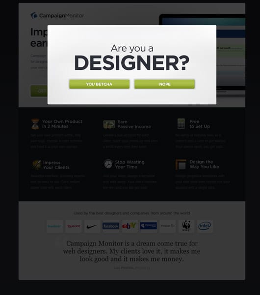 Campaign Monitor landing page example