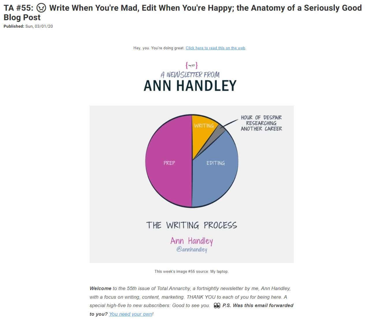 Captura de pantalla del boletín de Ann Handley.